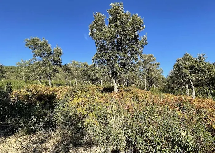 La Albergueria Complejo Rural Venkovský dům Cañamero
